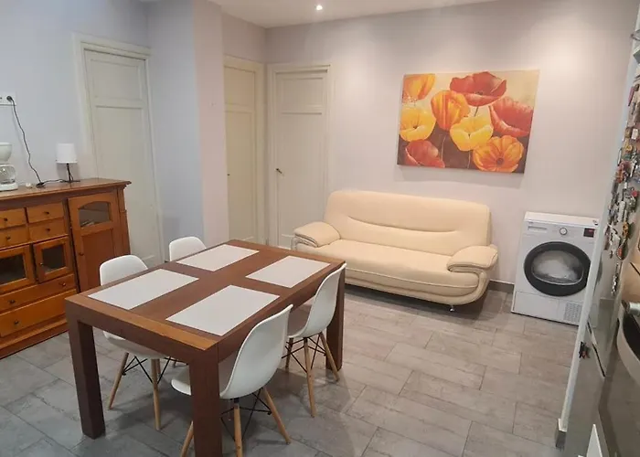 Amplia Con Bano Privado A Pasos De La Playa, En Piso Compartido Homestay San Sebastian